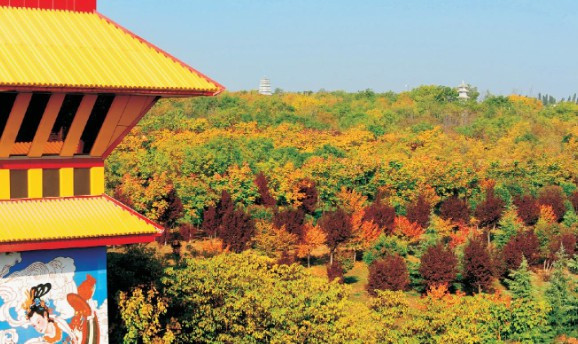 西安鳳棲山北區(qū)墓園