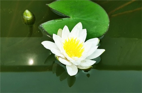 西安壽陽(yáng)山墓園鯨魚(yú)溝的傳說(shuō)
