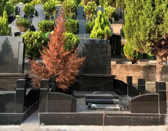 處理遺體和骨灰的權(quán)利歸屬于誰(shuí)？888-奉正塬公墓