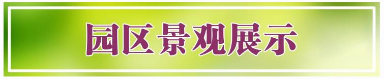 西安市壽陽(yáng)山骨灰墓園