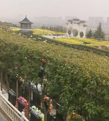 西安霸陵新區寶玉園,視野開闊,綠樹成蔭!