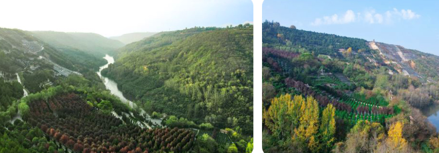 西安壽陽山骨灰墓園地處鯨魚溝中段，依山傍水，地勢高爽