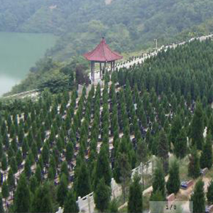 西安高橋墓園怎么樣？價格大概多少