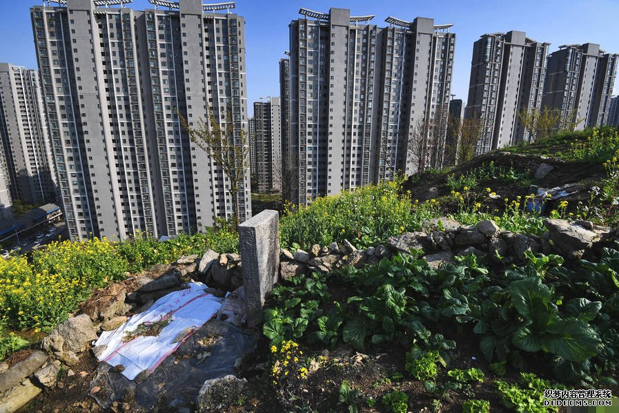 小區(qū)后山被私墾成農(nóng)場(chǎng) 挖平墓地種菜