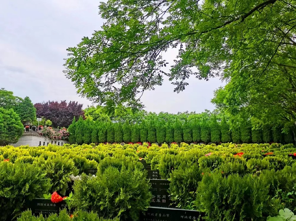 1676982661908733.jpg 西安墓園價格為什么會漲?